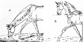 Trust-your-Horse Theoriekurs: 'Anreiten - die ersten Schritte vom Pferd zum Reitpferd'